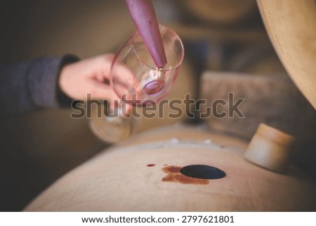 A winemaker uses a wine thief to draw a red wine sample into a glass from an oak barrel in a winery cellar, with a wooden bung visible on the barrel top.