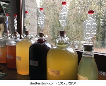 Winemaking, wine making, making wine at home, homemade wine - Powered by Shutterstock