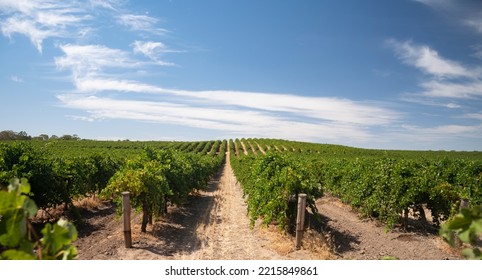 The Winery In Adelaide Hills, Australia