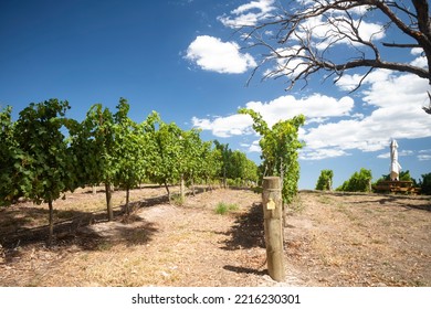 The Winery In Adelaide Hills, Australia