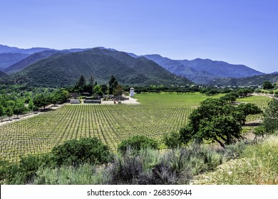 Winery Along Monterey County Road Highway G16, Near Carmel Valley, On The California Central Coast.