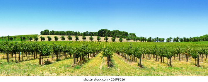 Winery In The Barossa Valley