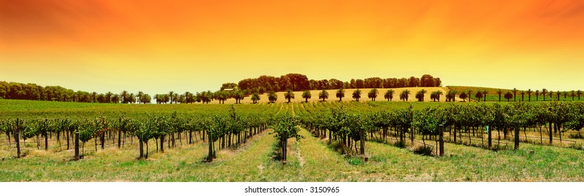 Winery In The Barossa Valley