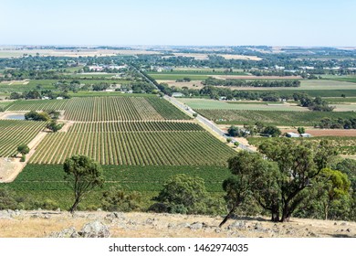 Winery In Barossa Valley In South Australia.