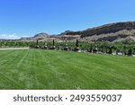 Winery grounds in Palisade, Colorado with elevated desert mesa in background on clear sunny summer day.