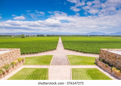 Winery In Mendoza, Argentina