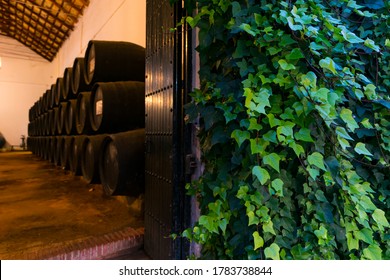 Winery of Montilla Moriles Denomination of Origin wine in Puente Genil town of Cordoba province in Andalusia of Spain, Europe - Shutterstock ID 1783738844
