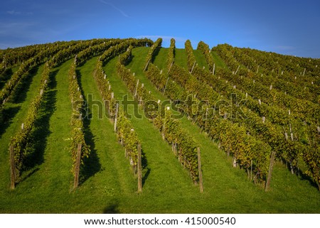 Similar – Tower in the vineyard Food