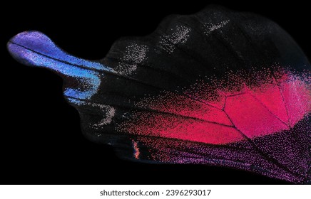 Wing of tropcal swallowtail butterfly texture background                            