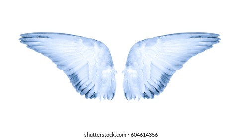 Wings Bird On White Background Stock Photo 604614356 | Shutterstock