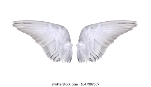 Angel Wings Isolated On Gray Background Stock Photo (Edit Now) 235160998