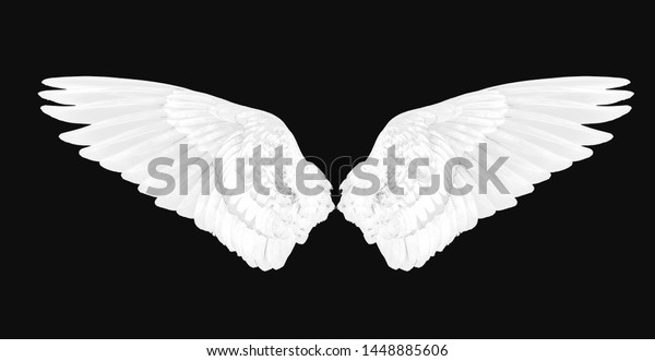 Wings Birds Isolated On White Background Stock Photo 1448885606 ...