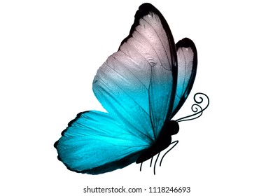 Wings Blue Butterfly Isolated On White Stock Photo 1107424172 ...