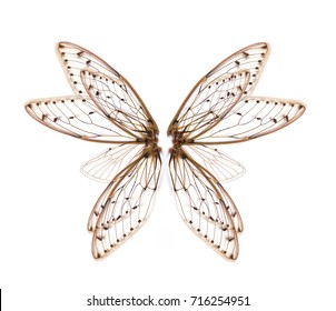 Fairy Wings Transparent Hd Stock Images Shutterstock