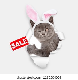 Winking kitten wearing easter rabbits ears shows signboard with labeled 