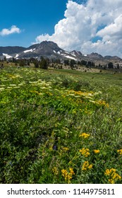 Winnemucca Lake California