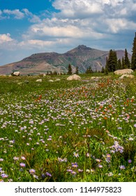 Winnemucca Lake California