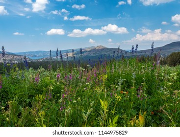 Winnemucca Lake California