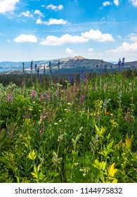 Winnemucca Lake California