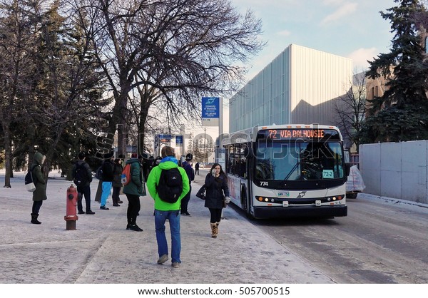 WINNIPEG, CANADA -\
2014/11/19: Students waiting for a bus on the Dafoe rd bus stop in\
the University of Manitoba.\
