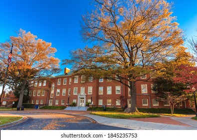 945 Wake forest university Images, Stock Photos & Vectors | Shutterstock