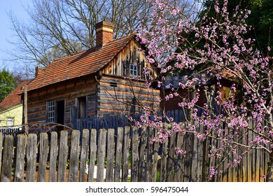 WINSTON-SALEM, USA, MAR 2017: An Old Building With A Blooming Cherry Tree In Front In The Traditional Moravian Settlement At Old Salem Museums And Gardens.