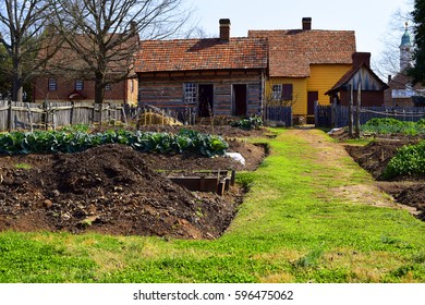 WINSTON-SALEM, USA, MAR 2017: A Vegetable Garden Growing Chard Behind A House In The Traditional Moravian Settlement At Old Salem Museums And Gardens.