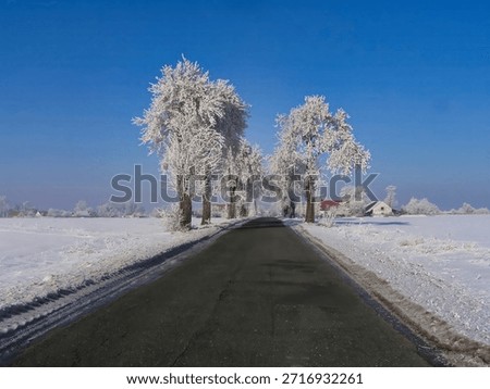 Winter of 2006 in the vicinity of Sleza in Lower Silesia, Poland. 