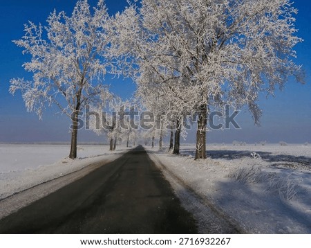Winter of 2006 in the vicinity of Sleza in Lower Silesia, Poland. 