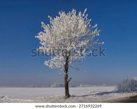 Winter of 2006 in the vicinity of Sleza in Lower Silesia, Poland. 