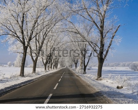 Winter of 2006 in the vicinity of Sleza in Lower Silesia, Poland. 