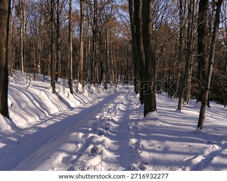 Winter of 2006 in the vicinity of Sleza in Lower Silesia, Poland. 