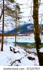 Winter 
