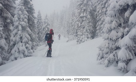 Winter