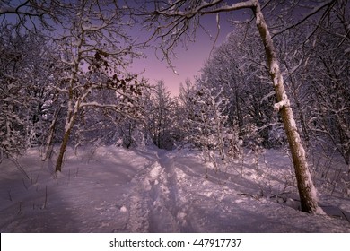 Winter