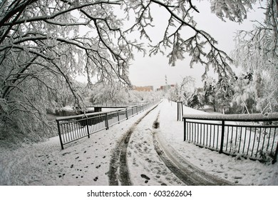 Winter,
