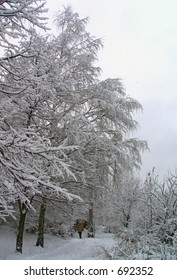 winter
