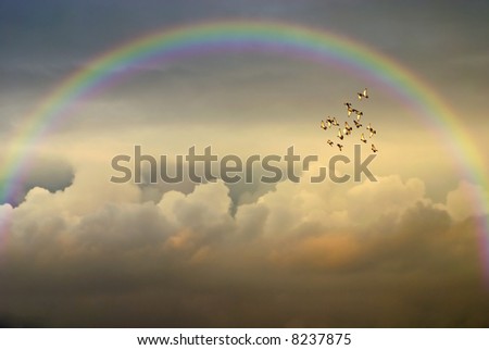 Similar – Image, Stock Photo Pigeons fly and storm clouds gather