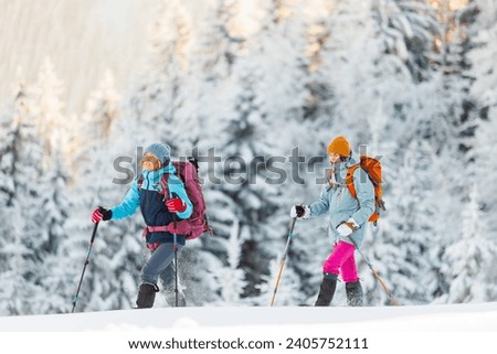 winter activity. Two women walking in snowshoes in the snow, winter hiking, two people in the mountains in winter, hiking equipment