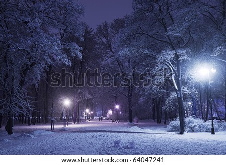 Winter alley in park and shining lanterns. Blue tone. Night shot.