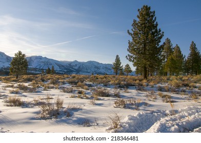 Winter Along June Lake Road, June Lake, CA