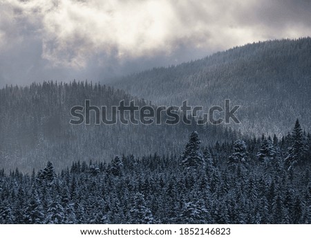 Similar – Winter idyll with view