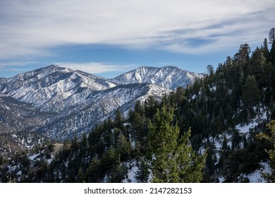 Winter In Angeles National Forest