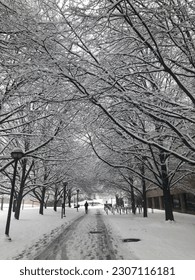 Winter in Ann Arbor Umich - Shutterstock ID 2307116181