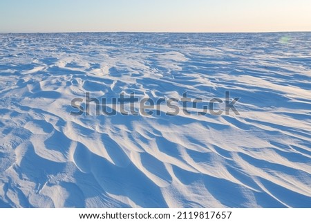 Winter arctic landscape. Snow-covered tundra. On the surface of the snow, there are sastrugi (patterns formed by erosion of snow by wind). Cold frosty weather. The harsh climate of the polar region.