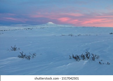 Tundra Images Stock Photos Vectors Shutterstock