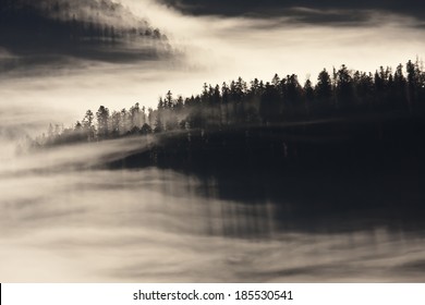  Winter Atmosphere In Montain With Cloudy Fir Tree Forest, Vosges, France