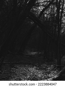 Winter Atmospheric Black Metal Forest, Dark Horror Atmosphere 