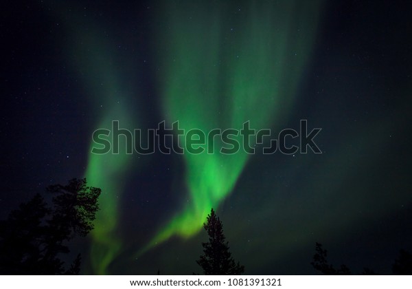 Winter Aurora Borealis Finland Sky Trees Stock Photo Edit Now