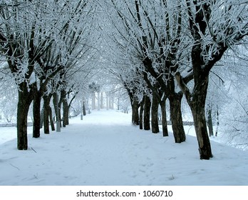   Winter avenue.